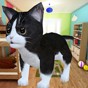 迷你小猫城市生存手机版
