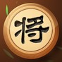 象棋玩的溜游戏