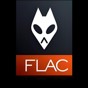 flac什么播放器支持