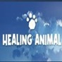 animal-henmal