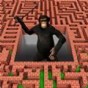 3d迷宫玩法