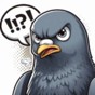 我想看鸽子蛋