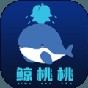 上古卷轴5超过60帧 性能提升